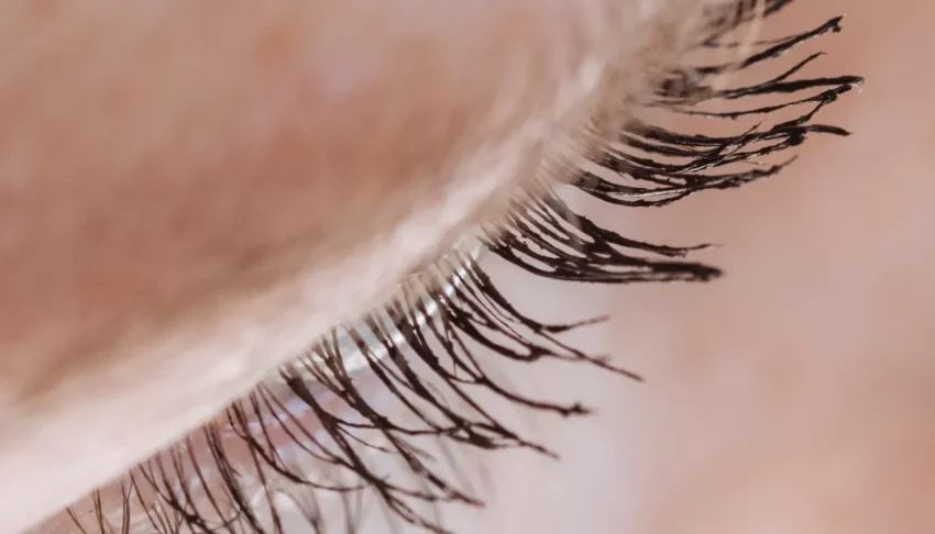 Lash lift eyelash close-up